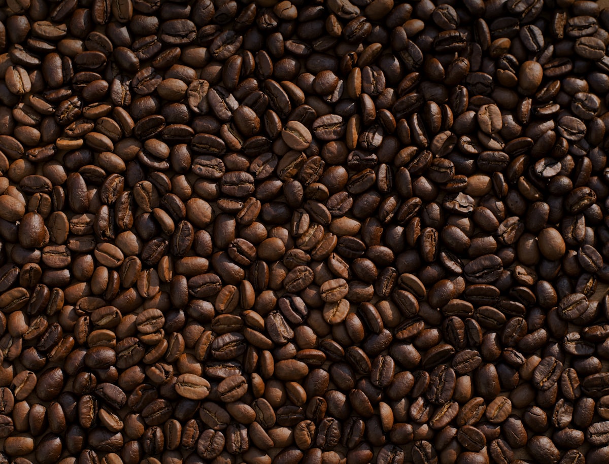 Tour de Café Pozuzo